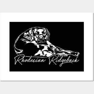 Rhodesian Ridgeback dog portrait dog mom gift Posters and Art